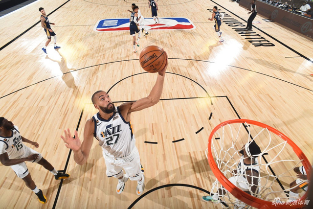 相拥吊床的 相拥吊床的