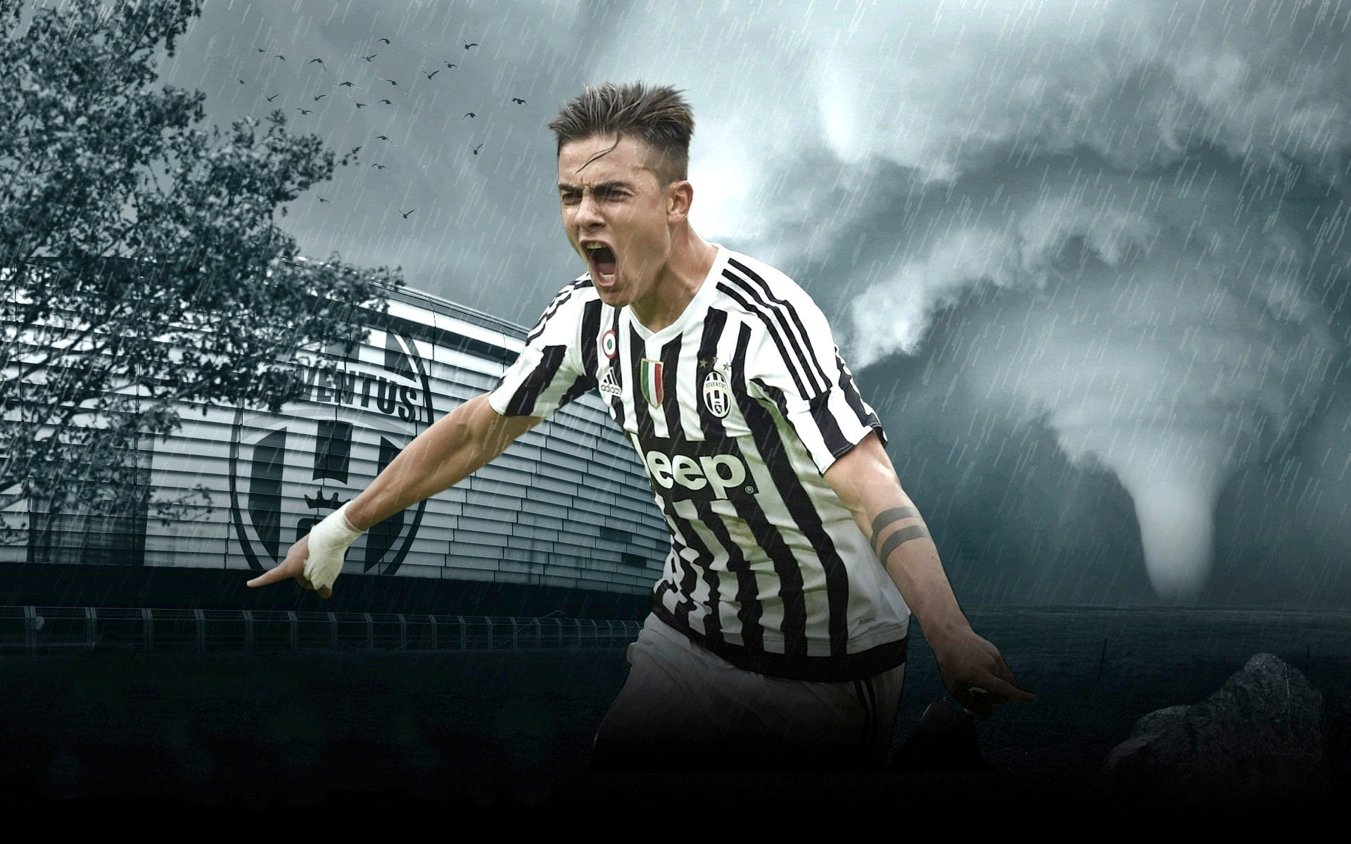 效难以转化 效难以转化