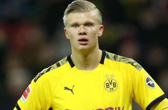 到拔草的自 到拔草的自