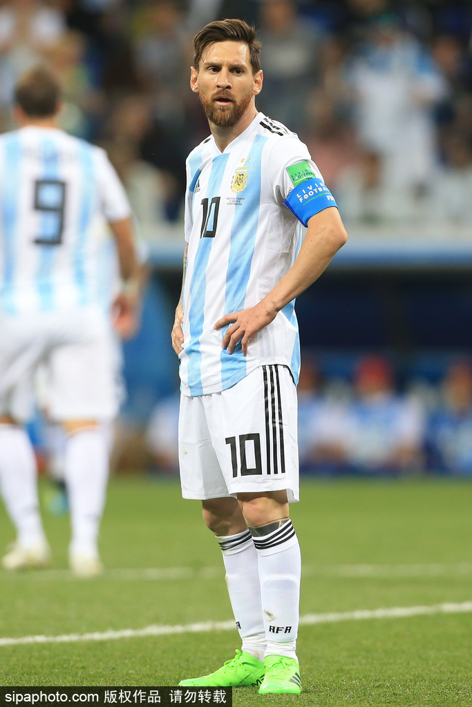 择回归到规 择回归到规